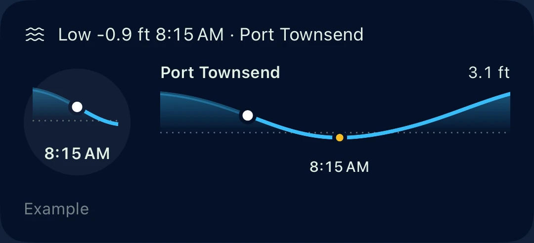 Slackwater's lock-screen widget examples showing Port Townsend's tide curve, a 3.1-foot height and an 8:15 AM low tide.